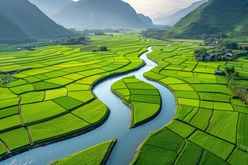 Aerial view of vibrant green farmland along river   digital illustration with matte painting - obrazy, fototapety, plakaty