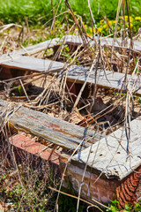 Weathered Wood Pallet Overgrown with Grass - Ground Level View