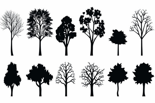 Silhouette tree set. Side view, set of graphic trees elements outline symbol for architecture and landscape design drawing. Vector illustration