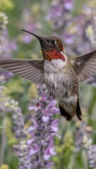 Fototapeta premium Elegant hummingbirds in flight aiming for vibrant flower nectar in beautiful display