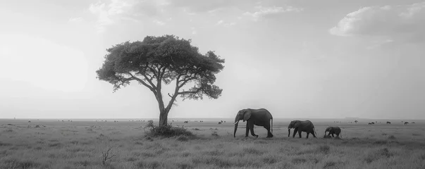 Foto op Aluminium Elephants roaming freely in the minimalist savanna landscape. © taelefoto