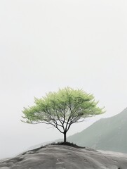 A lone tree stands proudly atop a rugged mountain peak
