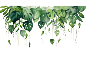 PNG Plant green leaf backgrounds