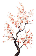 PNG  Sakura tree painting blossom flower. 