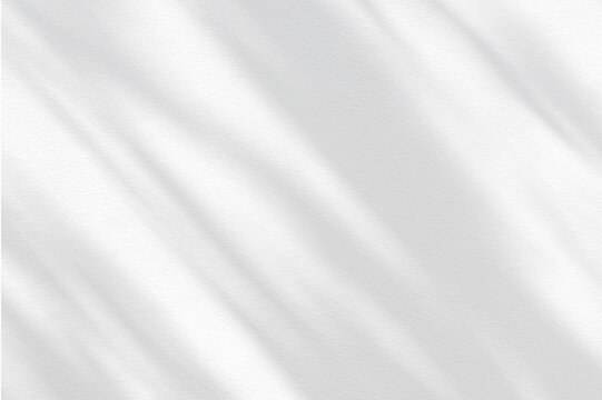 Abstract  light shadow of leaf blurred background. Natural diagonal leaves tree branch shadows and sunlight on white wall. Shadow overlay effect foliage mockup