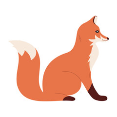 Vector illustration of cute doodle baby fox