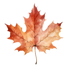 Obraz premium Autumn forest maple leaf watercolor style, illustration.