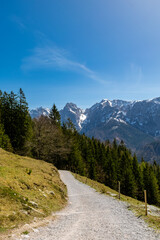 Obraz premium Scenic Mountain Path Through a Forested Hillside on a Clear Day (Kaiser Mountains, Austria)