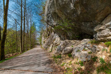 Scenic Mountain Path Through a Forested Hillside on a Clear Day (Kaiser Mountains, Austria)