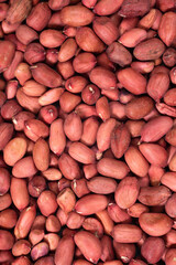 Background of large raw peanuts. Whole dried peanuts in shell - 787299599