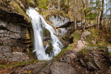 Majestic Waterfall Cascading Through the Forest in Berchtesgaden, Bavaria (Schrainbachfall)