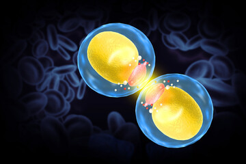 Cells with nucleus on scientific background. 3d illustration