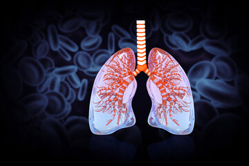 Anatomy of human lungs on medical background. 3d illustration