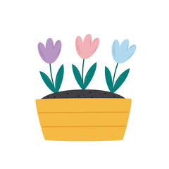 Flowers planted in a wooden box. Flat vector illustration isolated on white background. 