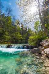 Crystal Clear Waters of the Ramsauer Ache Flowing Through a Serene Forest