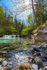 Crystal Clear Waters of the Ramsauer Ache Flowing Through a Serene Forest