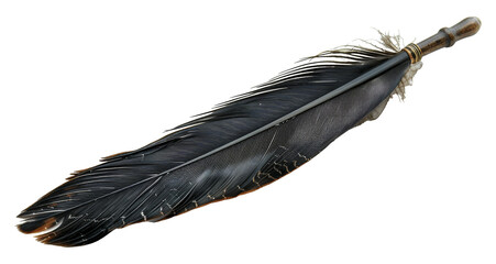 Vintage black feather quill for elegant writing isolated on transparent background
