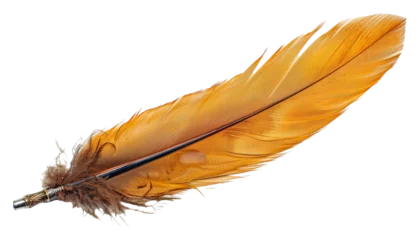 Papier peint Plumes Traditional orange feather quill isolated on transparent background