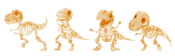 Tyrannosaurus Rex dinosaur skeleton . Watercolor paint cartoon characters . Set 3 of 4 . Vector .