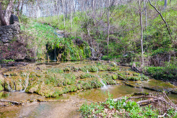 Small mossy waterfall near the Natural Bridge State Park.Virginia.USA