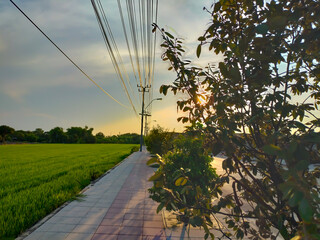 The road in the evening has the sun setting.