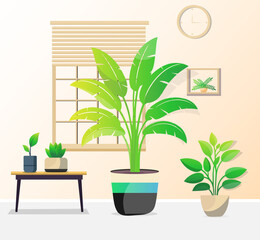 Indoor plants vector illustration with room. Bedroom plants vector art. Colorful illustration design. Natural. Plants vector. Green gradient.