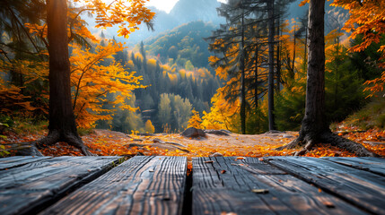 Naklejka na ściany i meble Wooden table in the forest at sunrise. Beautiful summer landscape.