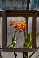Sunny flower frame 