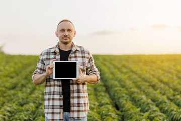Male farmer shows digital tablet with empty black screen on green soybeans field. Smart farming technology and organic agriculture concept. Quality control growth and development soya plants