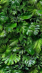 Exotic tropical forest  lush palm leaves and trees in wild jungle paradise for panoramic wallpaper