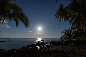 Full moon on a tropical beach, Natural night landscape, Sea shore and palm trees illuminated by the moonlight