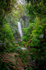 Waterfall deep in the rainforest, Landscape of beautiful nature, Green jungle - 787328594