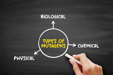 Types of Mutagen (anything that causes a mutation, a change in the DNA of a cell) mind map text...