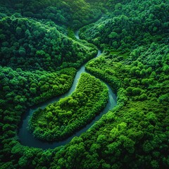 Aerial view of a winding river through a dense, vibrant green forest , high-resolution