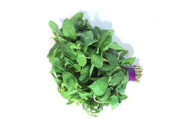 fresh organic vegetables 