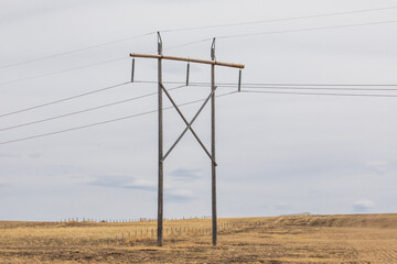 A wooden high voltage electrical distribution pole in the middle of a farmer's field in the fall