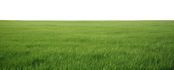 PNG  Outdoors horizon nature grass. 