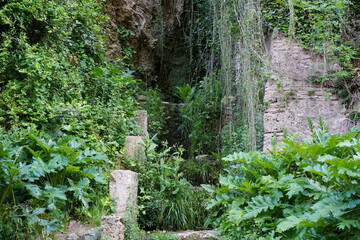 Vegetation und Architektur im Wald der Alhambra in Granada