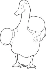 Duck Boxer Boxing gloves Boxing Animal Vector Graphic Art Illustration