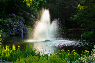 a fountain gushing out of water in the middle of a park or botanical garden