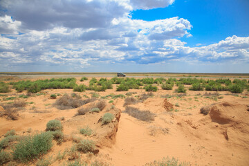 Fototapeta na wymiar Landscape of a sandy desert on a sunny day.
