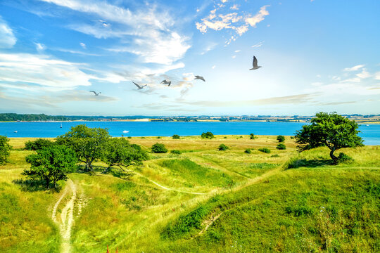 Mols Bjerge, Kalo, D&auml;nemark 