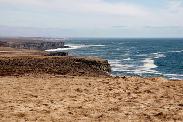 landscape of blue sea with yellow grass on cliff at south coast in Iceland