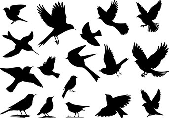 Set de silhouettes de divers oiseaux en vol et au sol, corbeau, merle, rouge-gorge, hirondelle, moineau, 