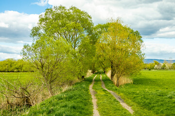 Frühlingshafte Wanderung rund um die Breitungen Seen bei fantastischen Sonnenschein - Thüringen - Deutschland