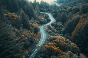 Fotobehang Aerial view of a winding road through a forest in a natural landscape © Crazy Dark Queen