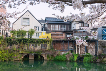 hotel with bear dolls and hot spring ryokan at Ureshino onsen