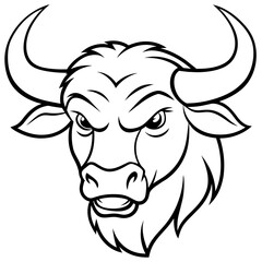 head of bull