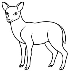 vector illustration animal