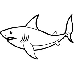 shark illustration vector